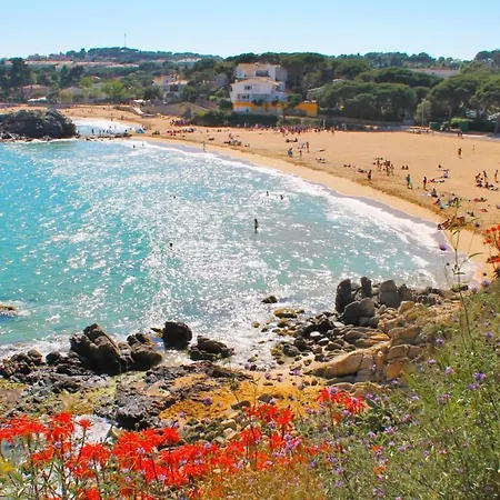 Cap P 55 * San Juan de Palamos