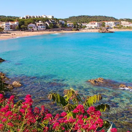 Cap P 55 San Juan de Palamos